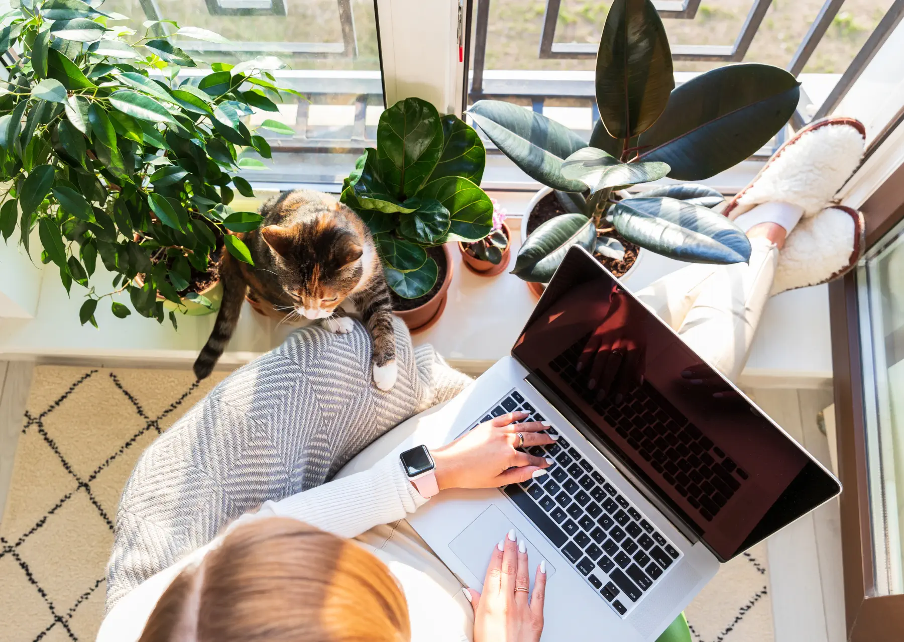 freelance travaillant sur son ordinateur